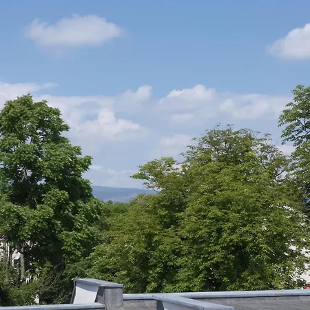 Gemuetliche Helle Dach-wohnung In Frankfurt Apartament